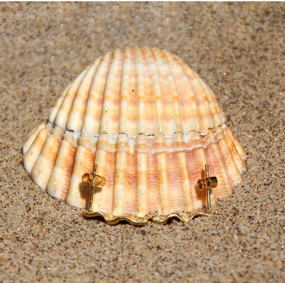 HANNAH BOURN COCKLE STUDS