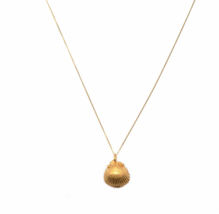 DAINTY LONDON SOLID GOLD SEASHELL NECKLACE