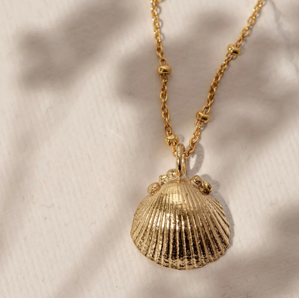 DAINTY LONDON SOLID GOLD SEASHELL NECKLACE