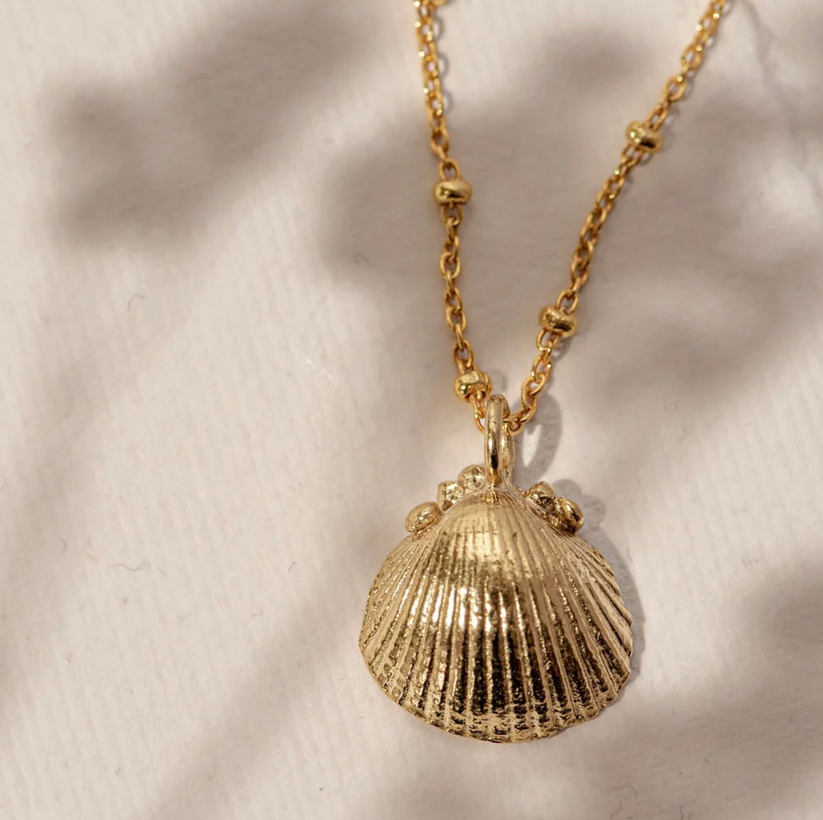 Single 2025 seashell necklace