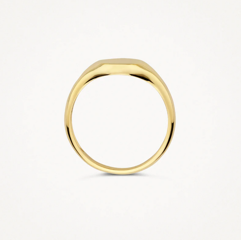 BLUSH 14K YELLOW GOLD SIGNET RING