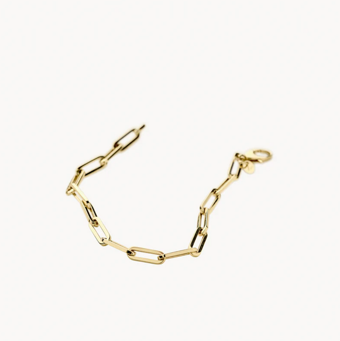 BLUSH 14K YELLOW GOLD LINK BRACELET