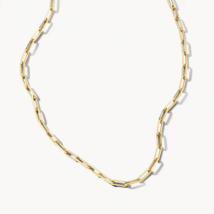 BLUSH 14K YELLOW GOLD LINK NECKLACE