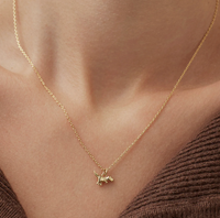 ESTELLA BARTLETT DINOSAUR NECKLACE