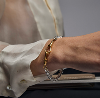 TILLY SVEAAS MEDIUM SILVER AND GOLD CURB CLIPT BRACELET