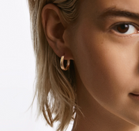 ANNA BECK CLASSIC HINGE REVERSIBLE HOOP EARRINGS