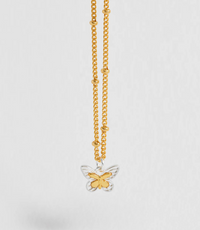 ESTELLA BARTLETT MIXED METAL BUTTERFLY NECKLACE
