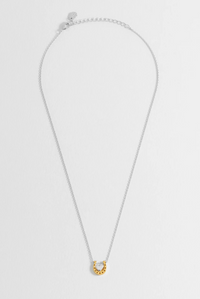 ESTELLA BARTLETT HEART AND HORSESHOE NECKLACE