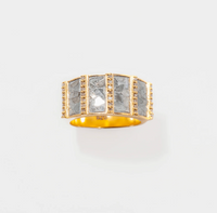 SHANA GULATI AJMER RING