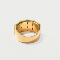 SHANA GULATI AJMER RING