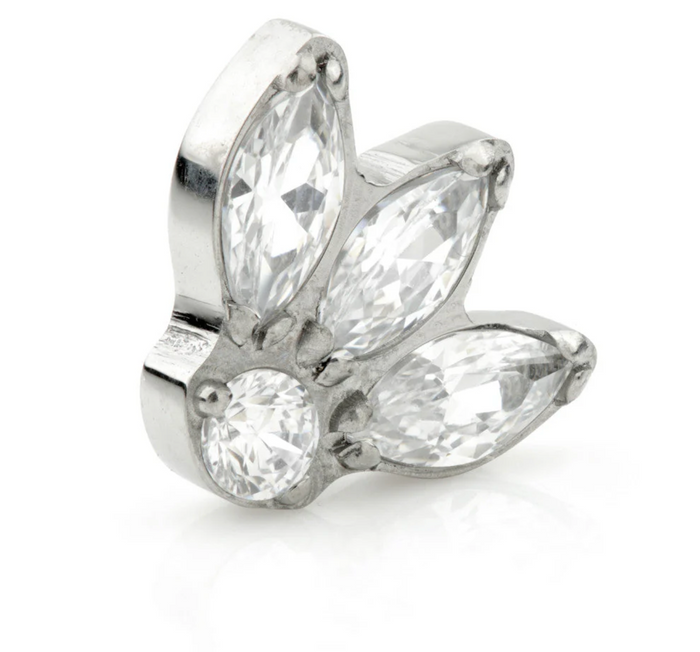 FLEUR DE LIS TITANIUM