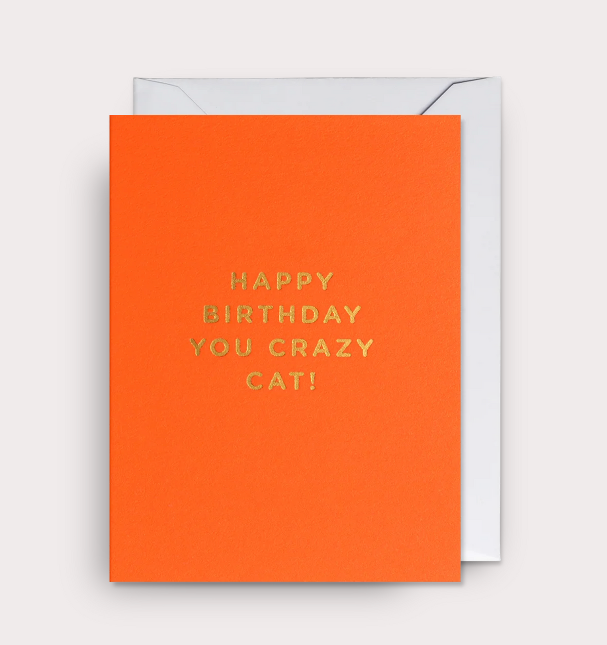 HAPPY BIRTHDAY YOU CRAZY CAT CARD