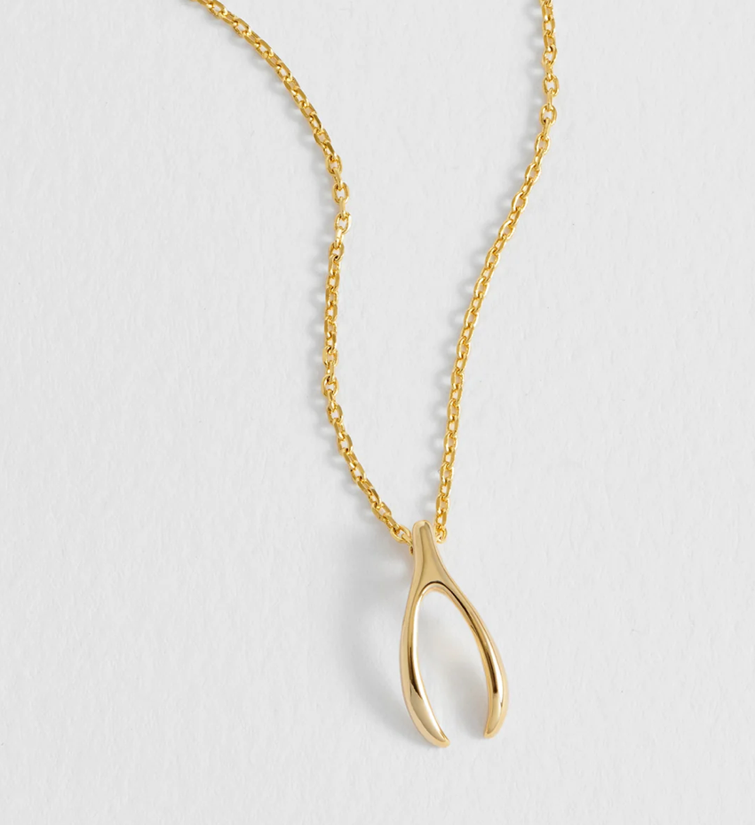 ESTELLA BARTLETT WISHBONE NECKLACE
