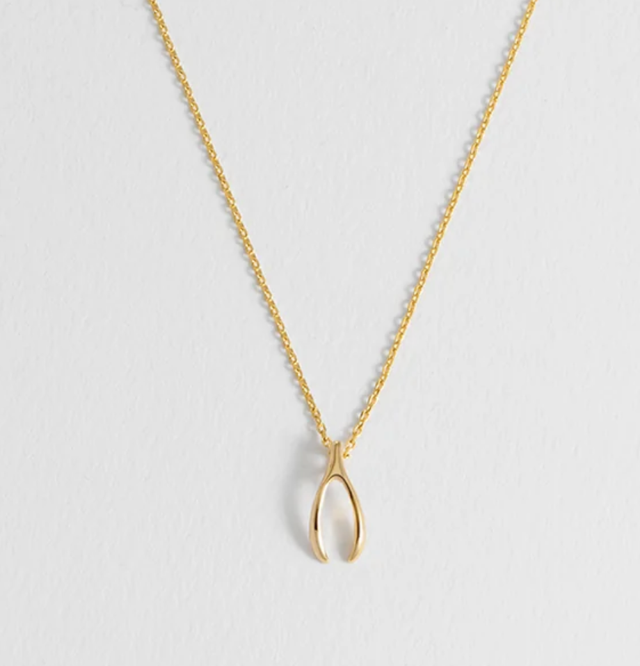 ESTELLA BARTLETT WISHBONE NECKLACE