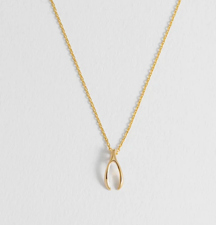 ESTELLA BARTLETT WISHBONE NECKLACE