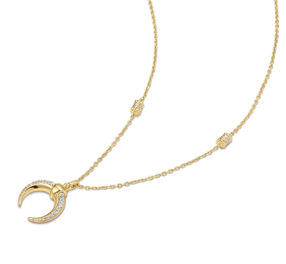 ANIA HAIE REVERSIBLE HORN NECKLACE
