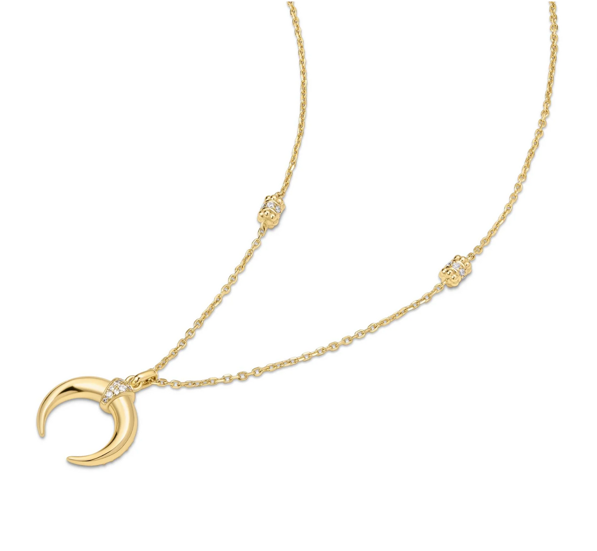 ANIA HAIE REVERSIBLE HORN NECKLACE