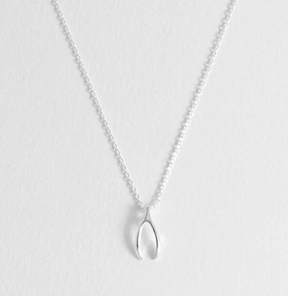 ESTELLA BARTLETT WISHBONE NECKLACE