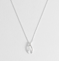 ESTELLA BARTLETT WISHBONE NECKLACE