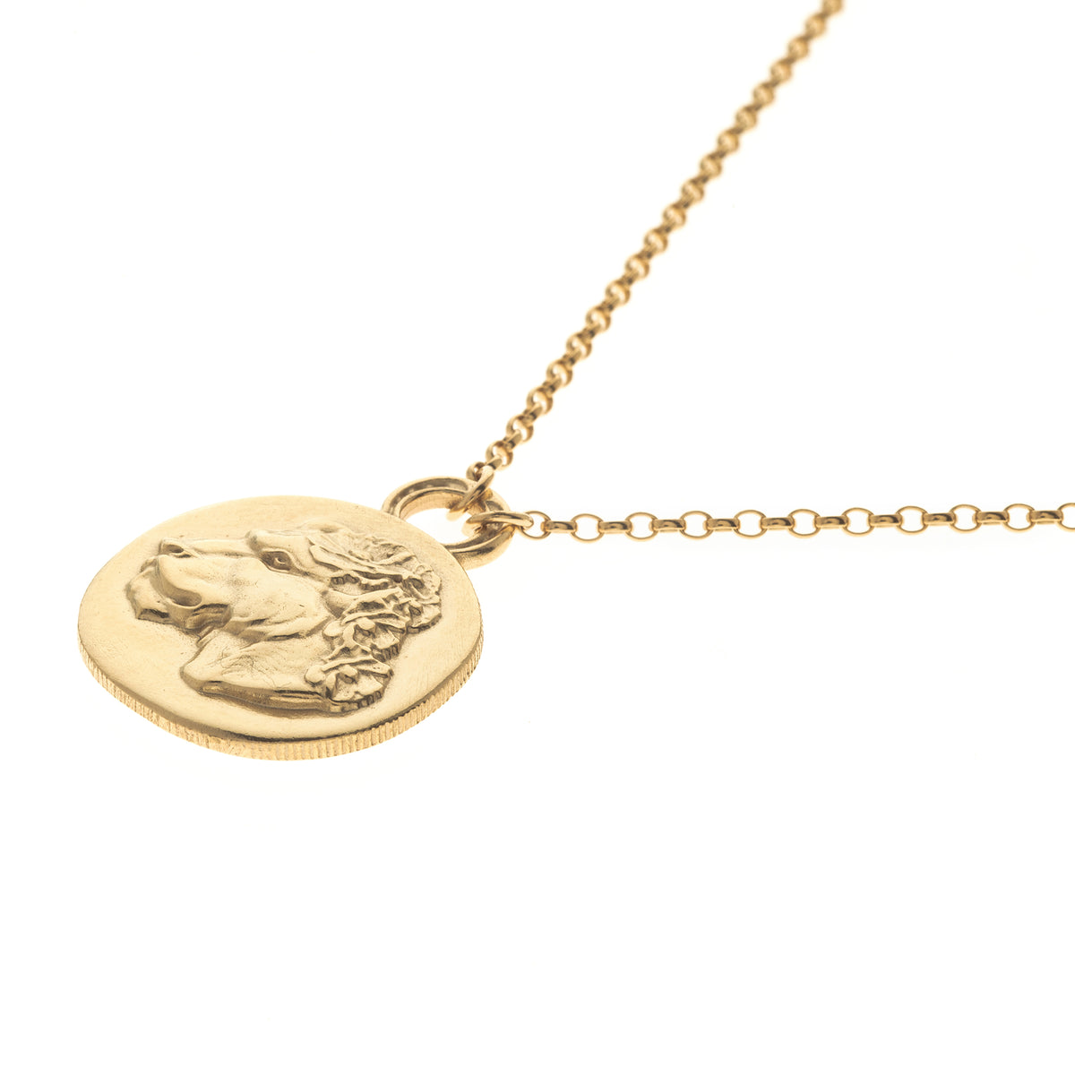 MIKAELA LYONS LARGE LIONESS COIN NECKLACE