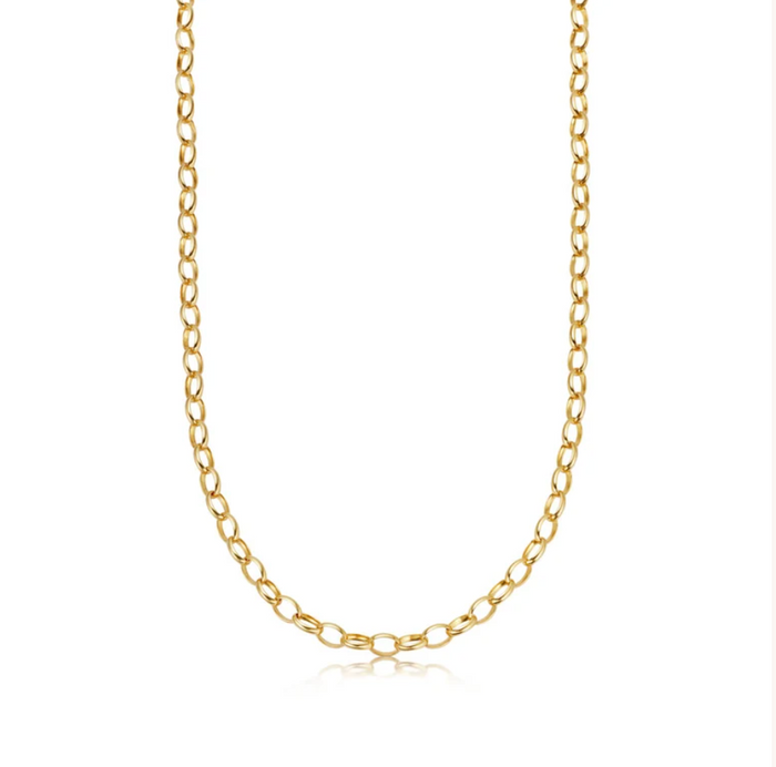 ASTLEY CLARKE THICK GOLD CHAIN