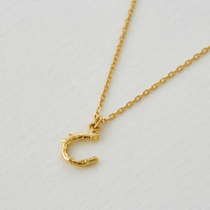 ALEX MONROE TEENY TINY HORSESHOE NECKLACE